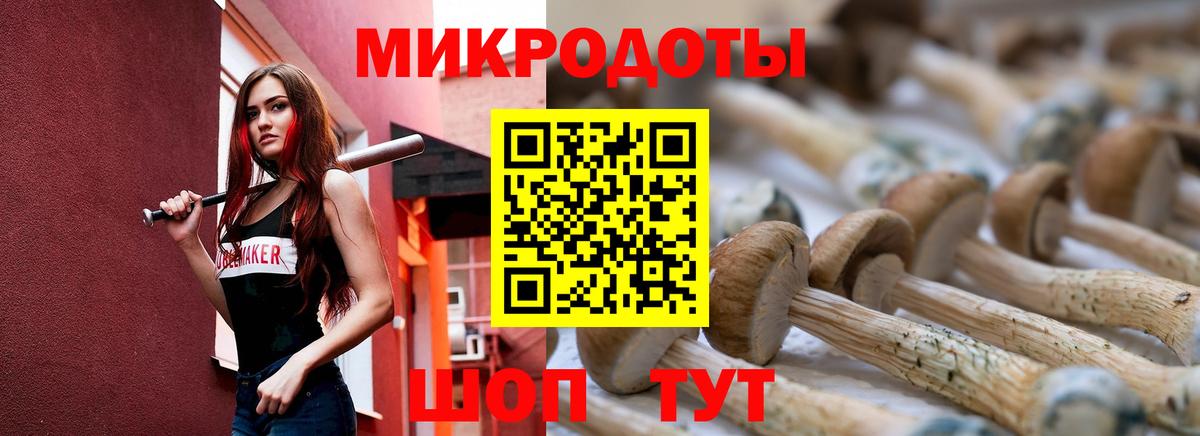 Галлюциногенные грибы Psilocybe Верхний Уфалей